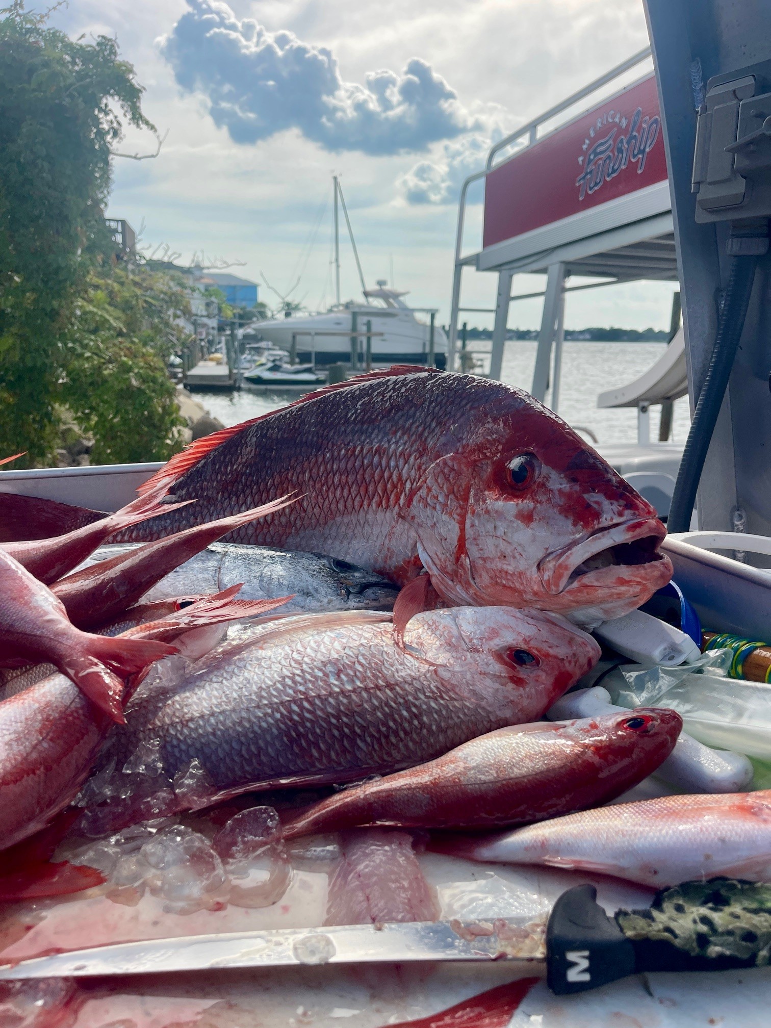 Unloading Red Snapper Destin Expeditions - Premier Fishing Charters & Scenic Cruises in ...